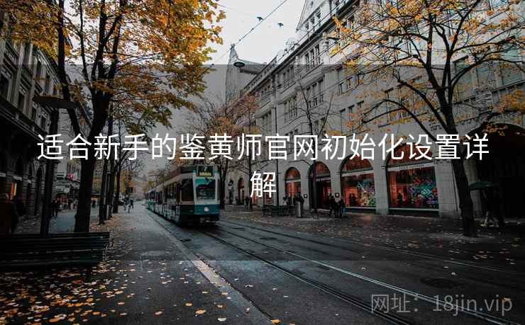 适合新手的鉴黄师官网初始化设置详解