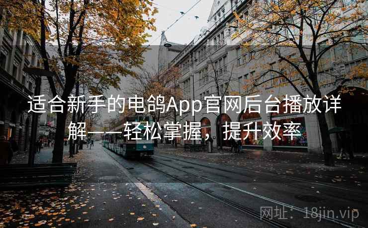适合新手的电鸽App官网后台播放详解——轻松掌握，提升效率
