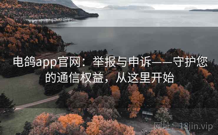 电鸽app官网：举报与申诉——守护您的通信权益，从这里开始