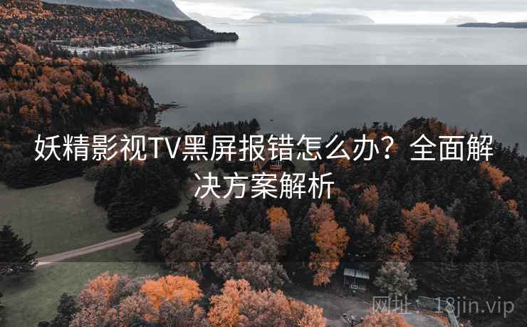 妖精影视TV黑屏报错怎么办？全面解决方案解析