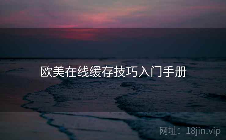 欧美在线缓存技巧入门手册