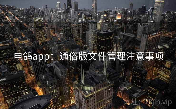 电鸽app：通俗版文件管理注意事项
